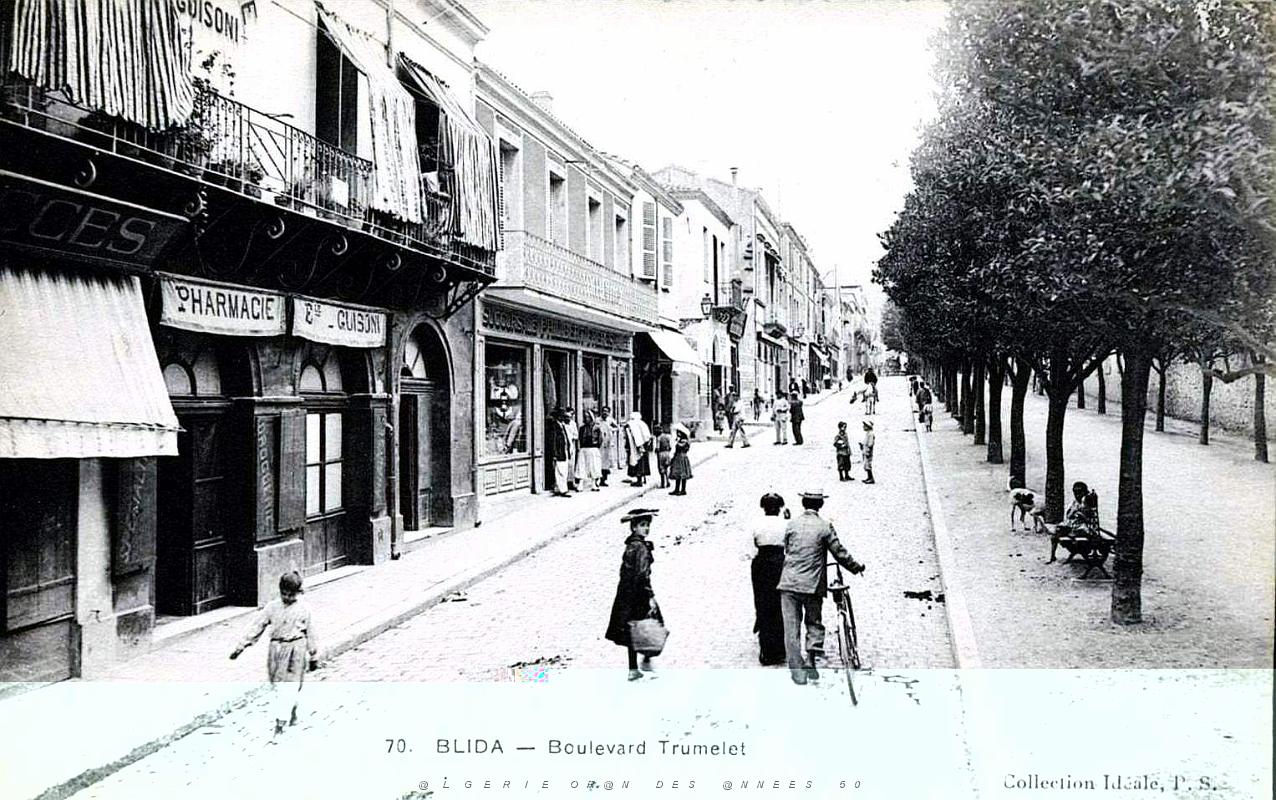 274- Blida - Boulevard Trumelet.JPG